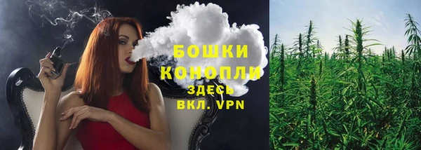 дурь Осташков