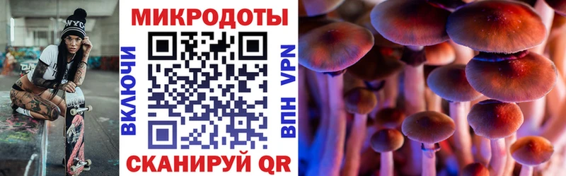 где продают Заволжье Псилоцибиновые грибы мухоморы